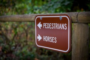 Kirkland - Bridle Trails