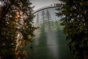 Kirkland - North Rose Hill