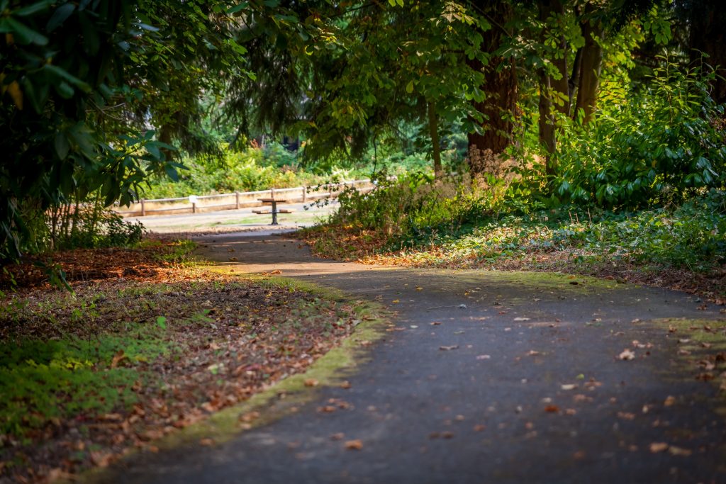 RoseHillMeadowsPark4