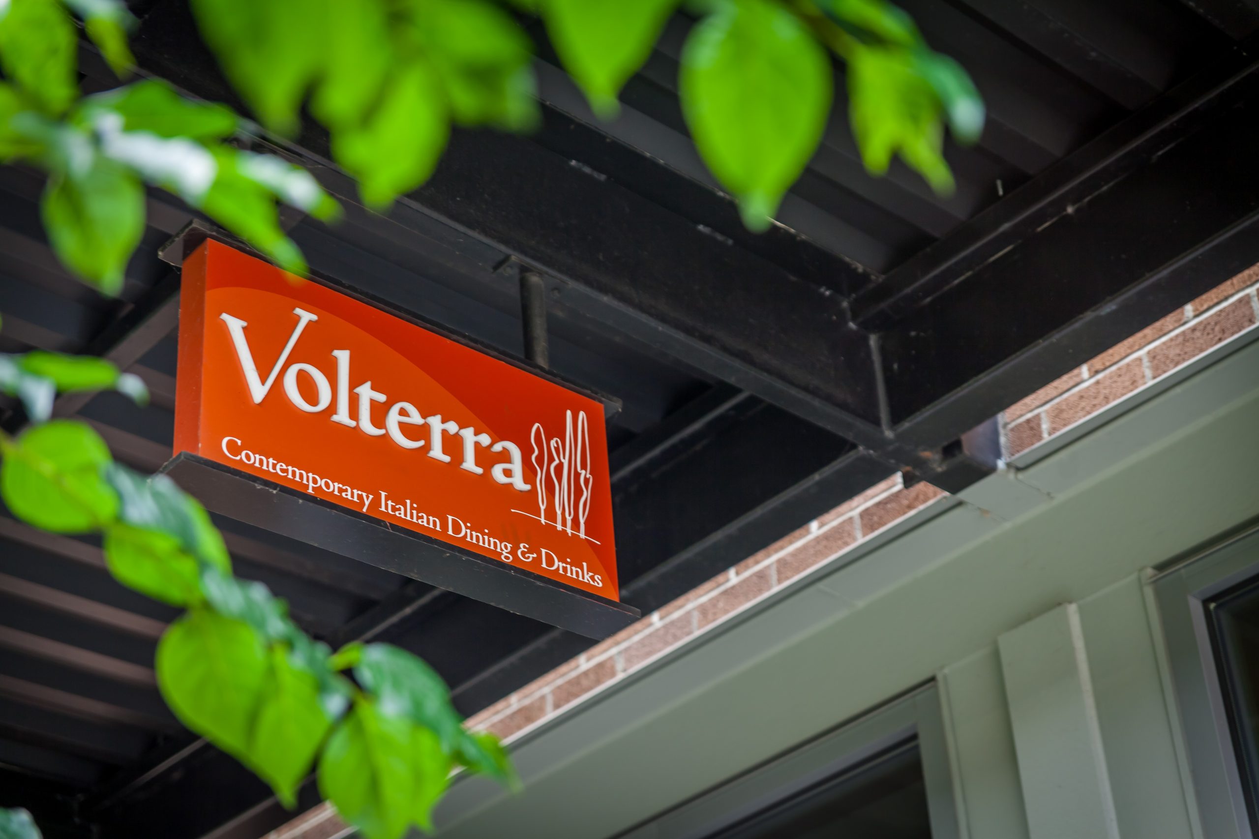 Volterra