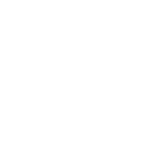ftrWinFoundLogo