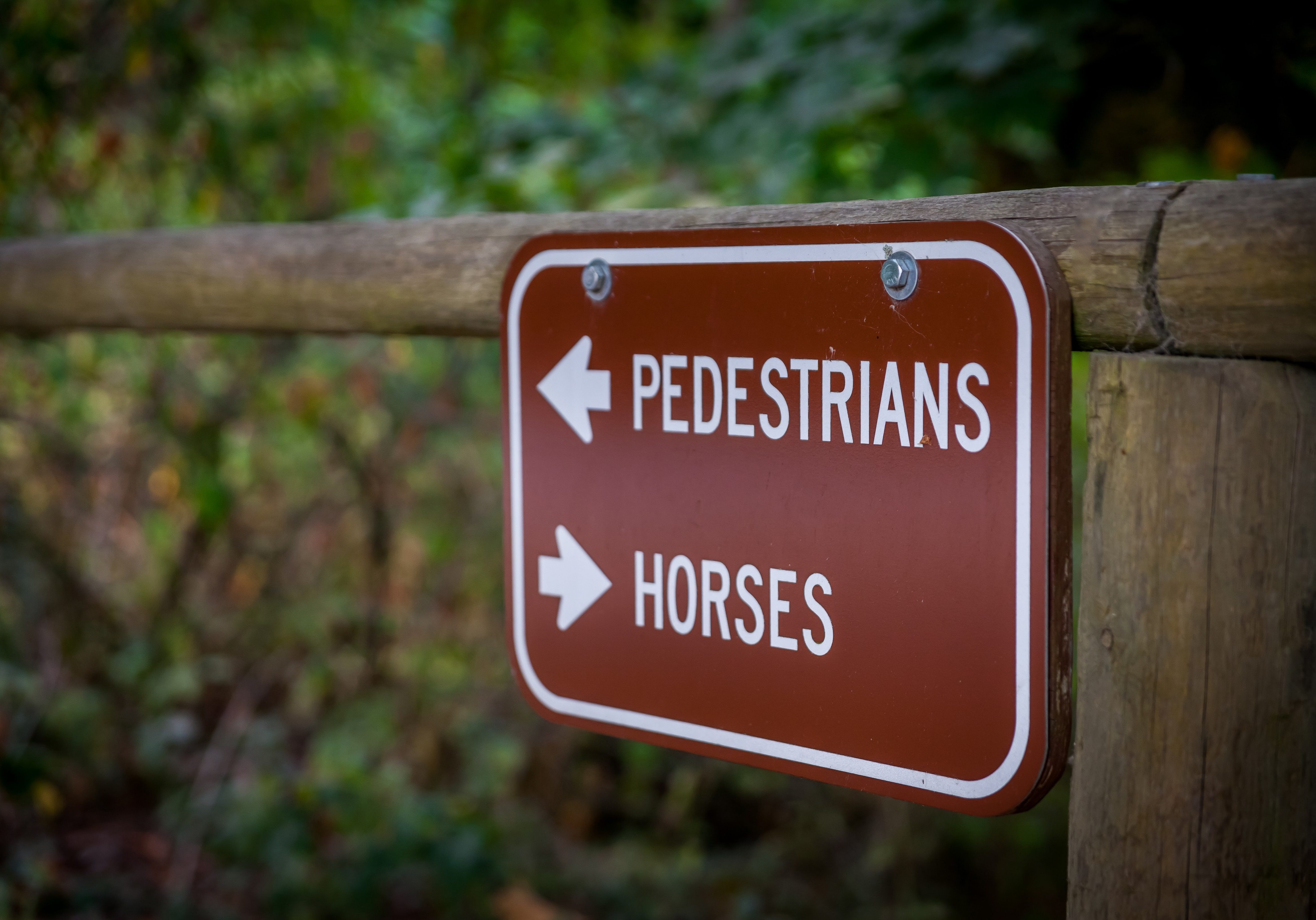 BridleTrailsStatePark2