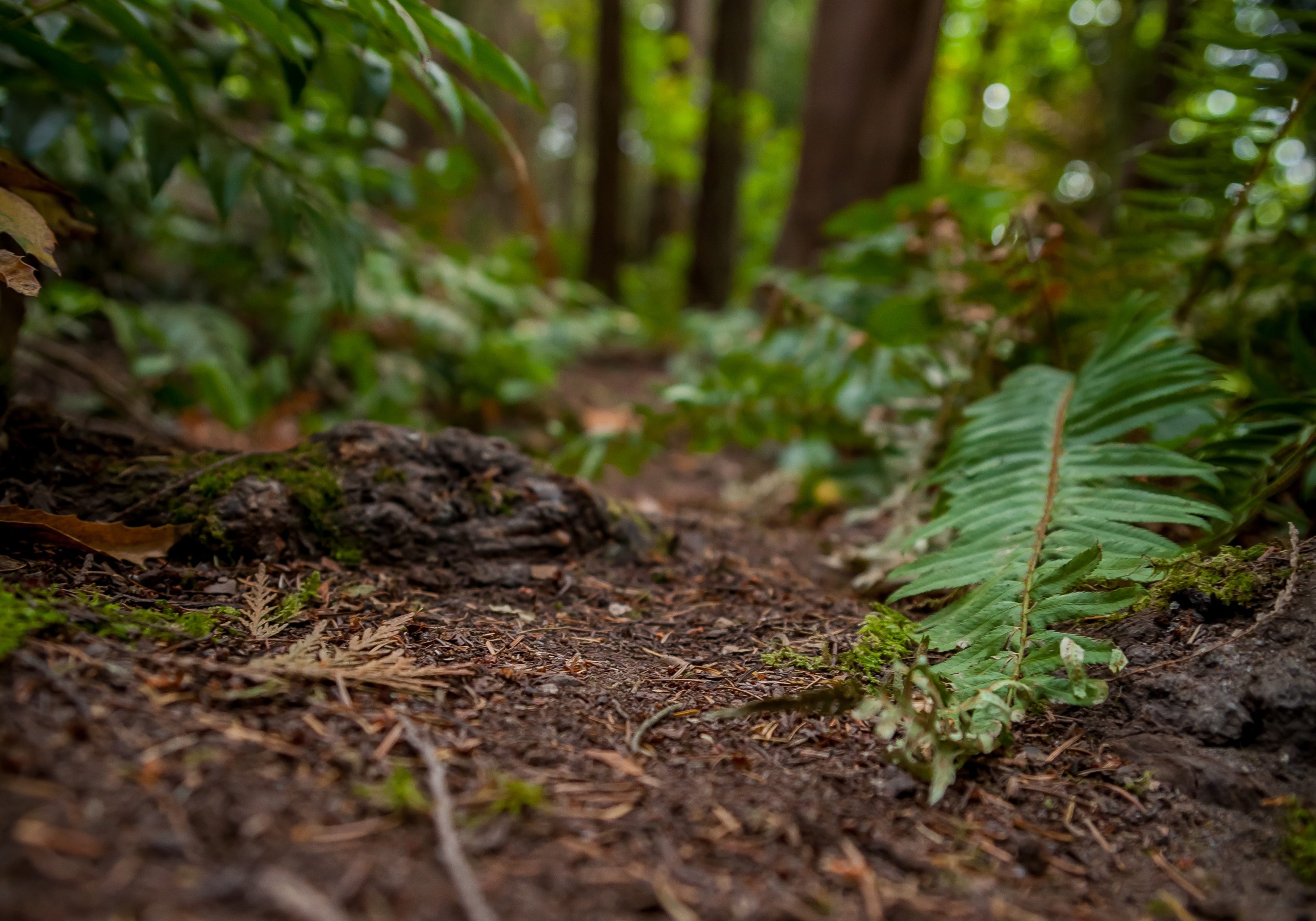 BridleTrailsStatePark5