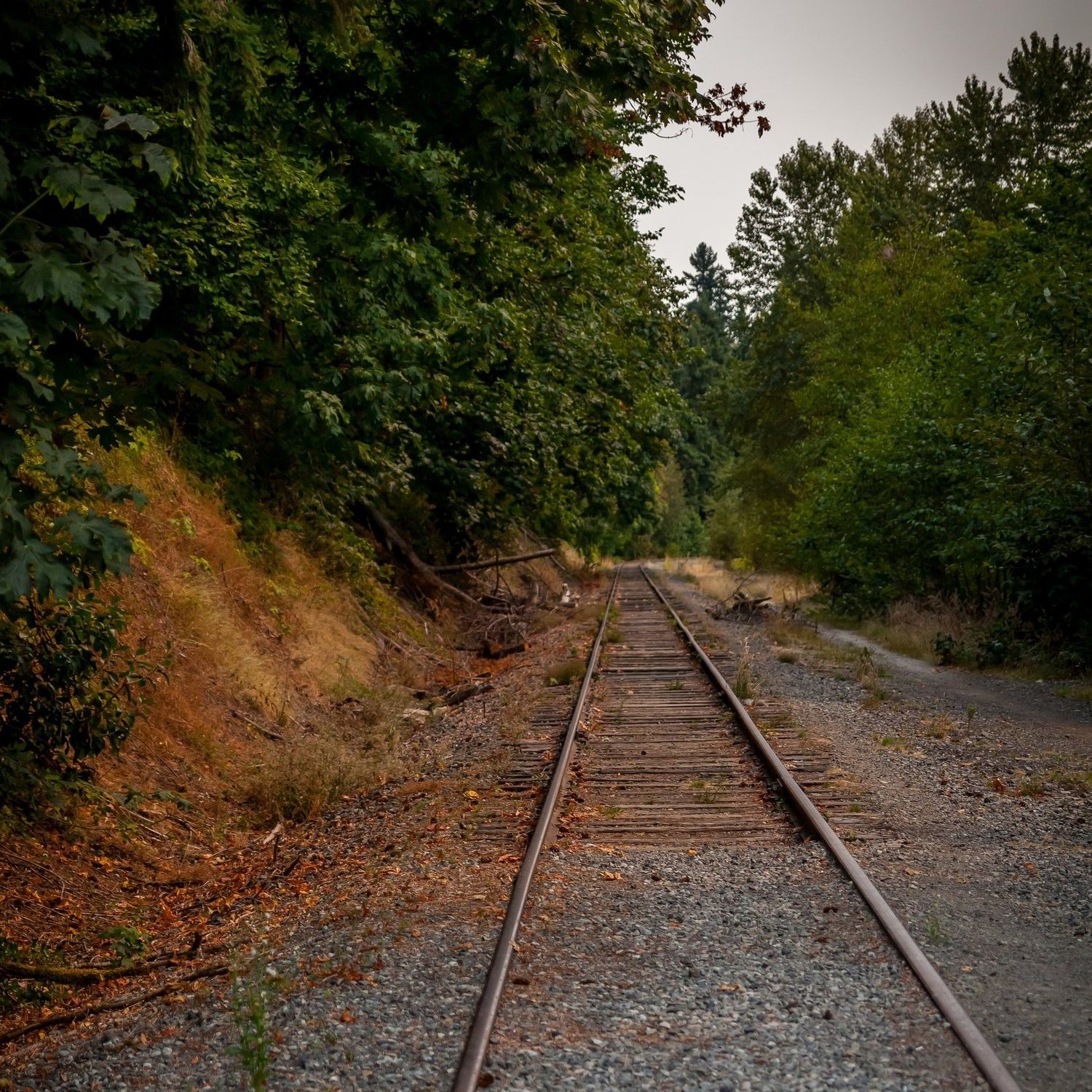 KirklandCorridor2