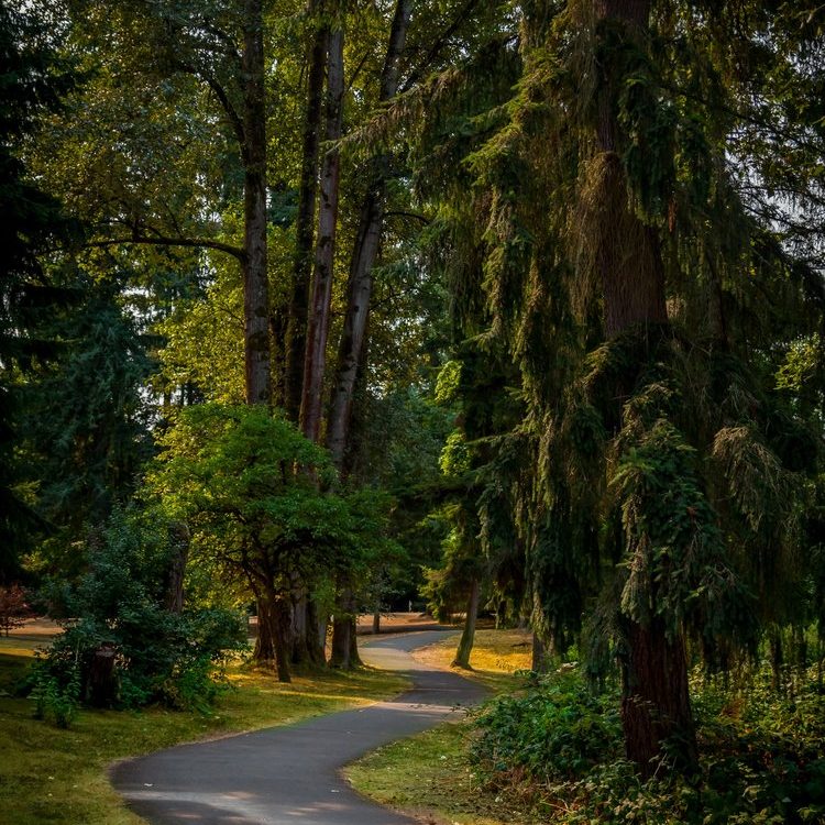 MarkTwainPark5