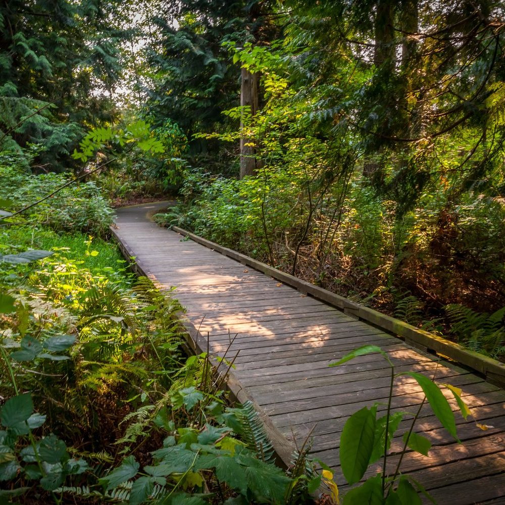 WoodlandsPark9